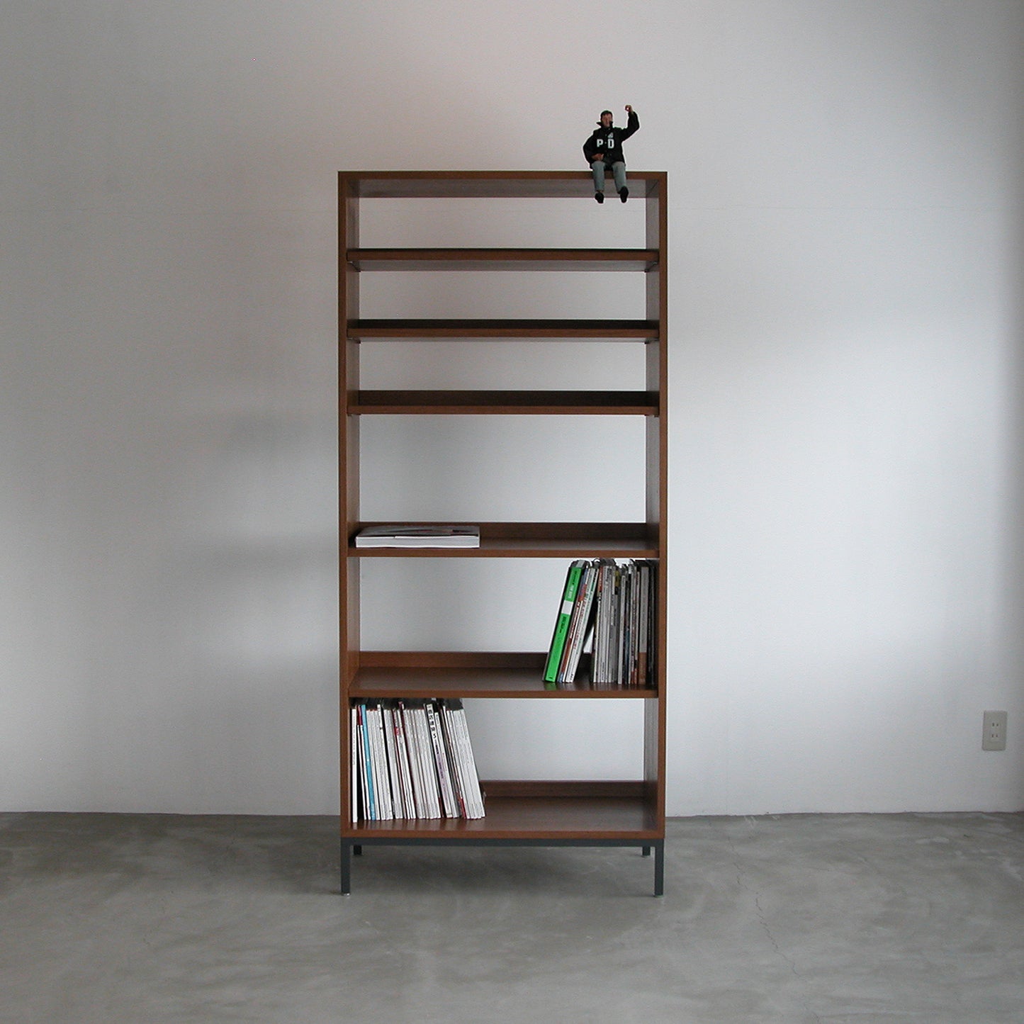 SONGBIRD BOOK SHELF